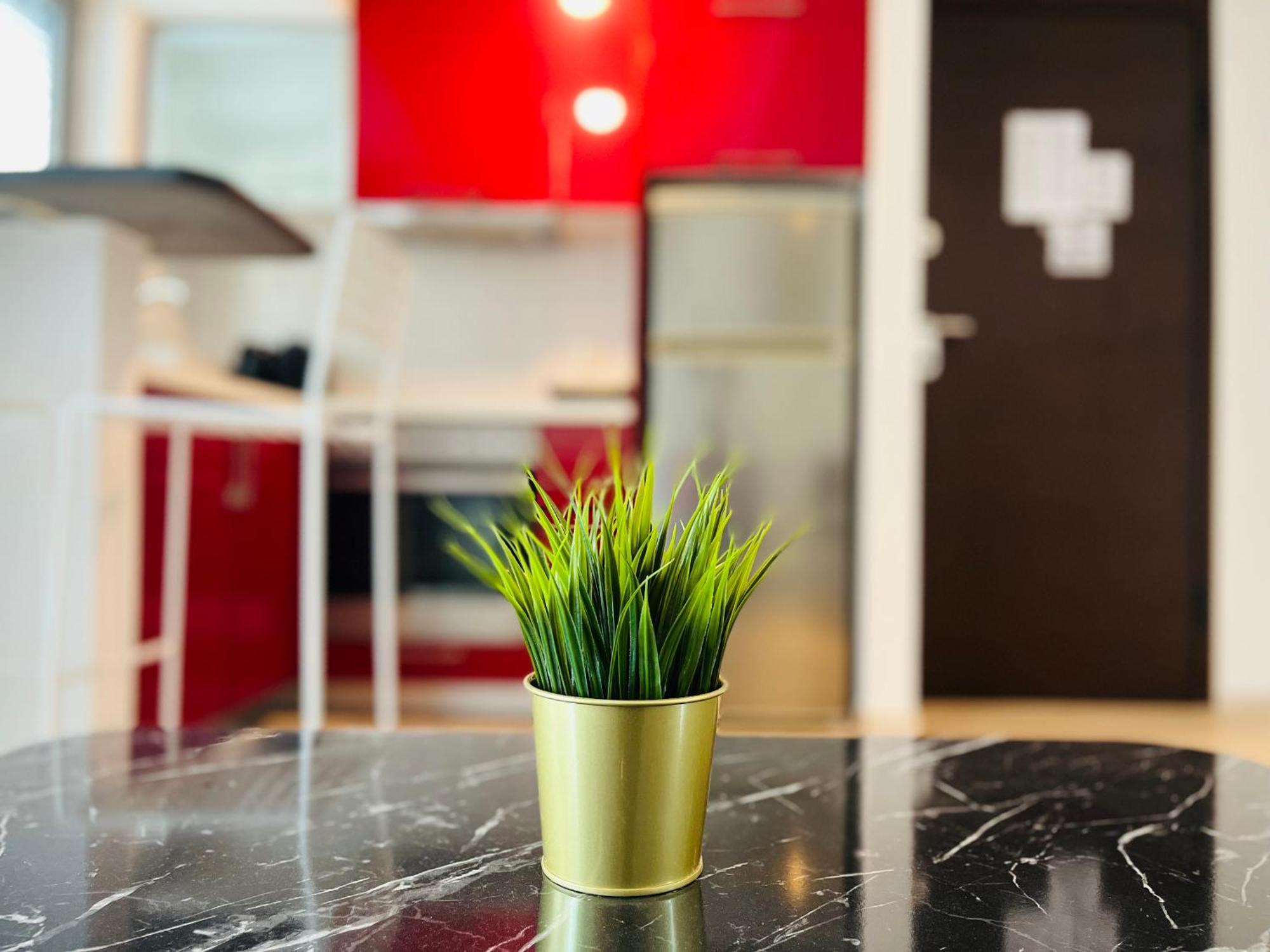 Elvita Apartments Athens Ngoại thất bức ảnh